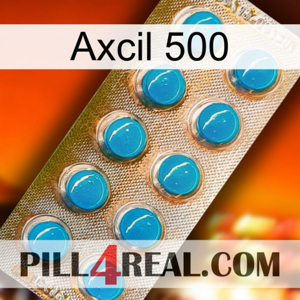 Axcil 500 new09.jpg